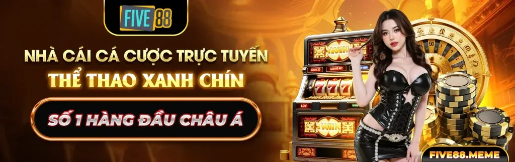 Cá cược võ thuật tại qu88 casino